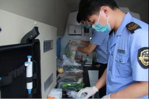 常德市武陵区 食品快检进集市 服务群众零距离