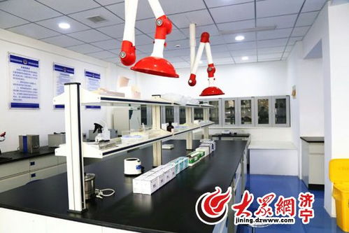 济宁城区食品快检服务中心正式试运行 市民可享免费送检服务