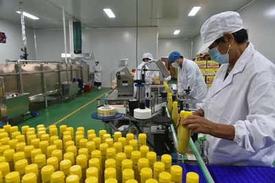 上蔡邵店镇姜香臣姜汁厂 加班加点备货 醋香飘扬农加工投洽会