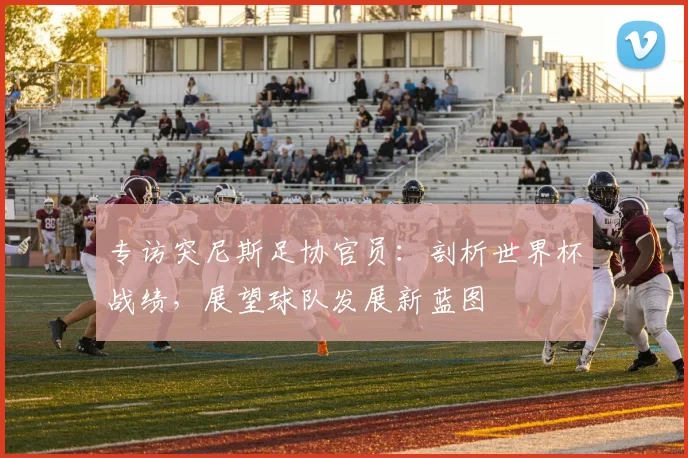专访突尼斯足协官员:剖析世界杯战绩,展望球队发展新蓝图