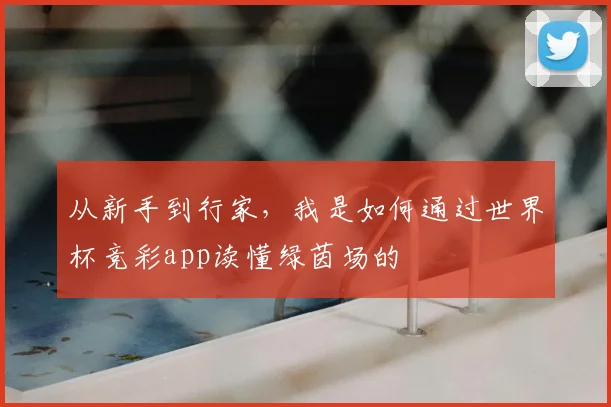 从新手到行家,我是如何通过世界杯竞彩app读懂绿茵场的