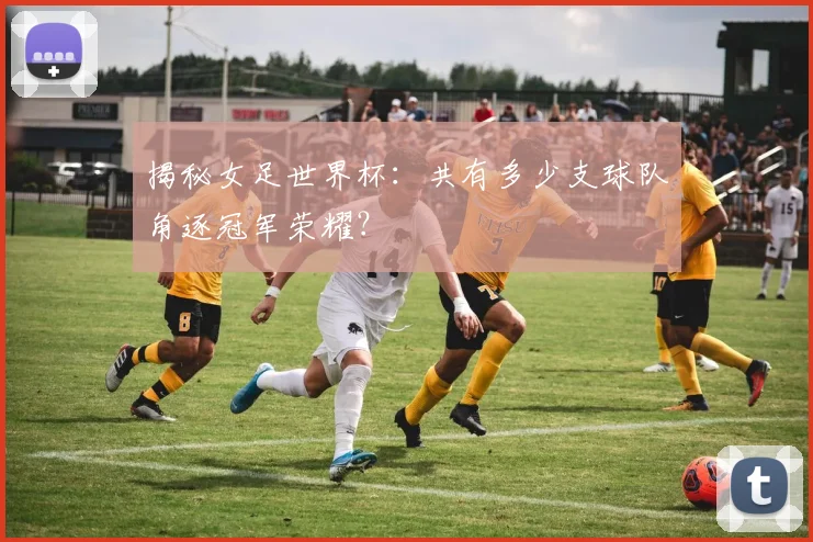 揭秘女足世界杯:共有多少支球队角逐冠军荣耀?