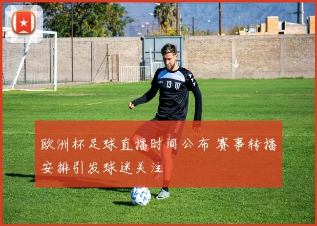 欧洲杯足球直播时间公布 赛事转播安排引发球迷关注