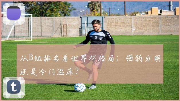 从B组排名看世界杯格局:强弱分明还是冷门温床?