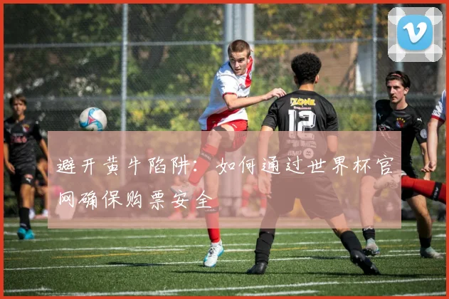 避开黄牛陷阱:如何通过世界杯官网确保购票安全