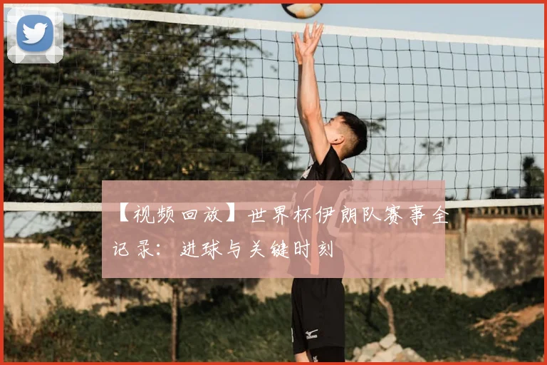 【视频回放】世界杯伊朗队赛事全记录：进球与关键时刻