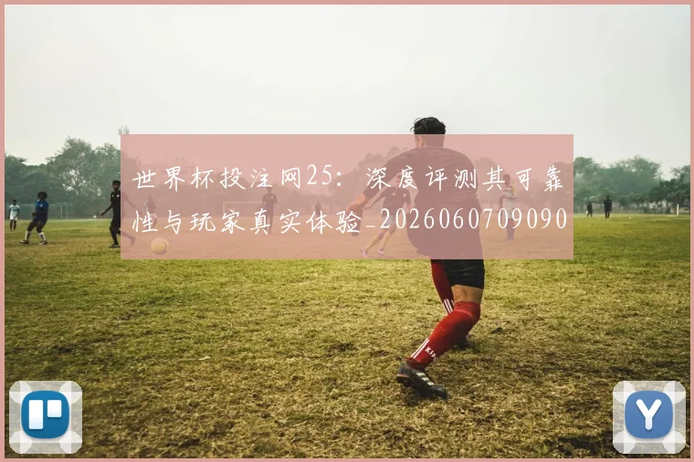 世界杯投注网25：深度评测其可靠性与玩家真实体验_20260607090907