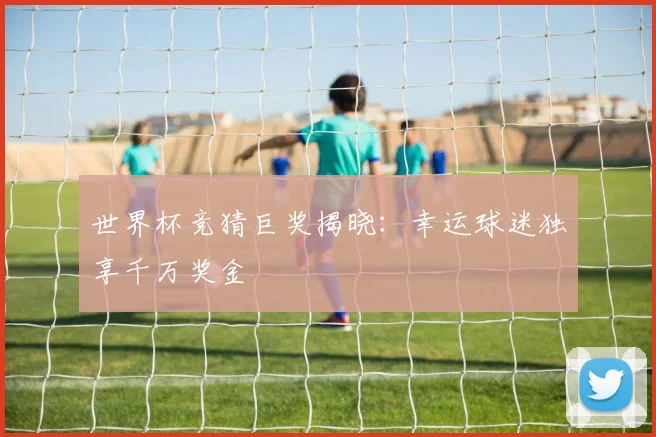 世界杯竞猜巨奖揭晓：幸运球迷独享千万奖金