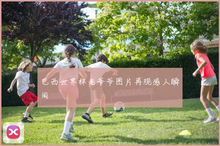 巴西世界杯老爷爷图片再现感人瞬间