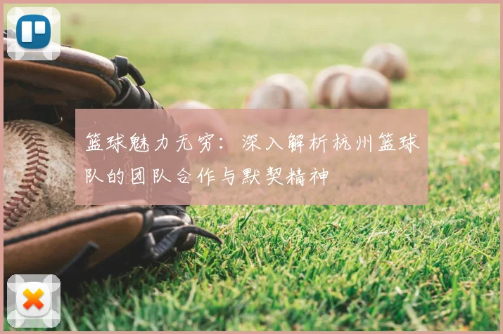 篮球魅力无穷:深入解析杭州篮球队的团队合作与默契精神