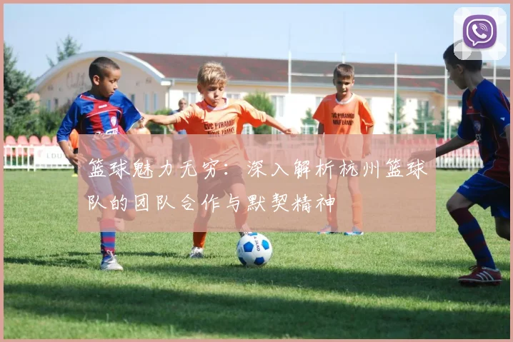 篮球魅力无穷:深入解析杭州篮球队的团队合作与默契精神