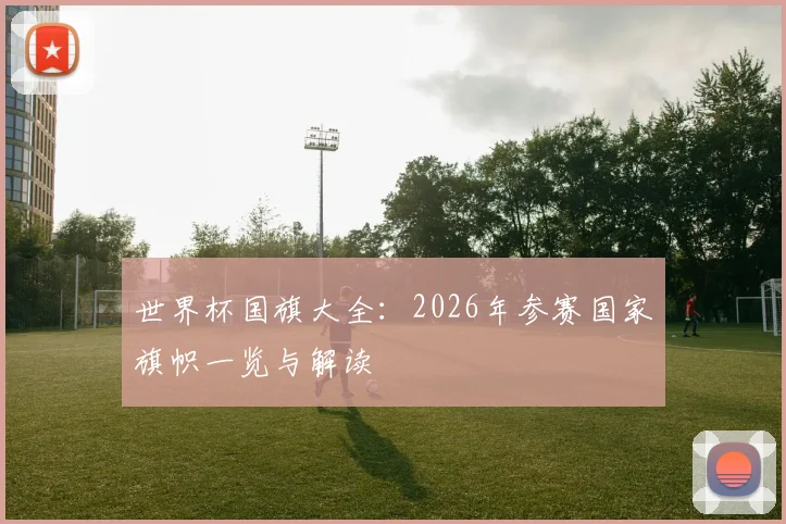 世界杯国旗大全：2026年参赛国家旗帜一览与解读