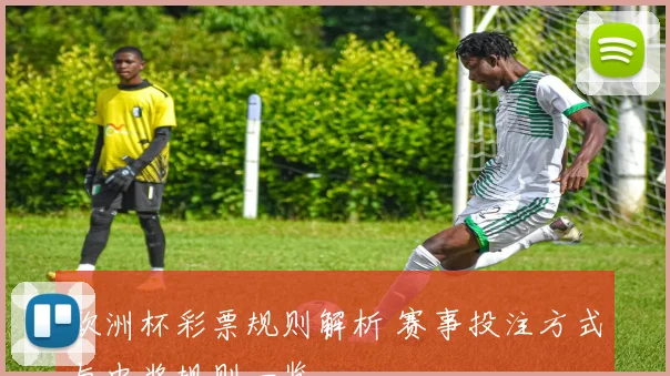 欧洲杯彩票规则解析 赛事投注方式与中奖规则一览