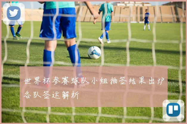 世界杯参赛球队小组抽签结果出炉各队签运解析