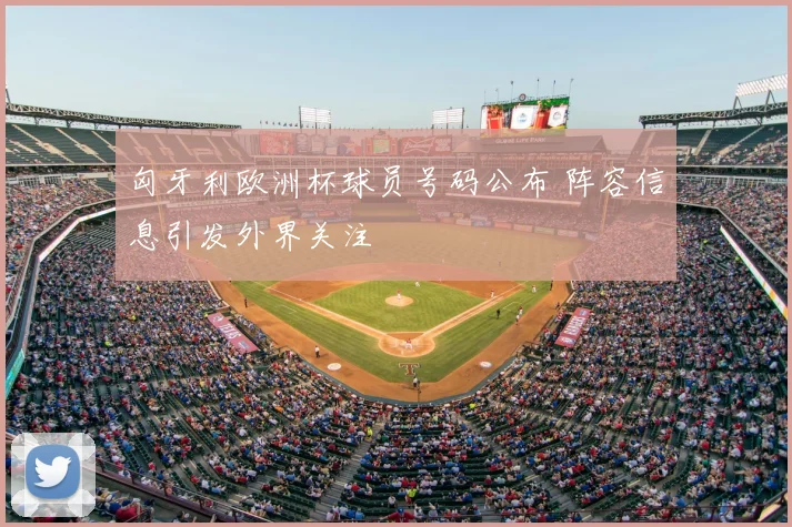 匈牙利欧洲杯球员号码公布 阵容信息引发外界关注