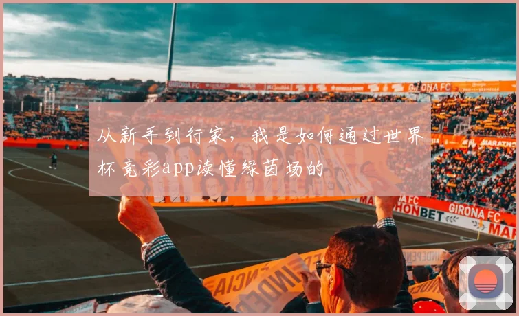 从新手到行家，我是如何通过世界杯竞彩app读懂绿茵场的