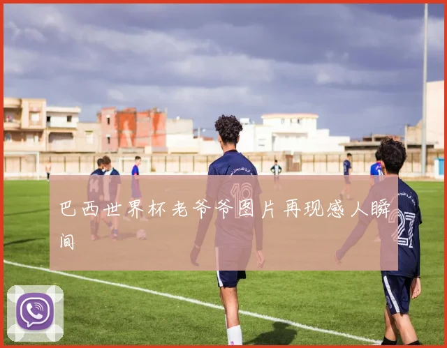 巴西世界杯老爷爷图片再现感人瞬间