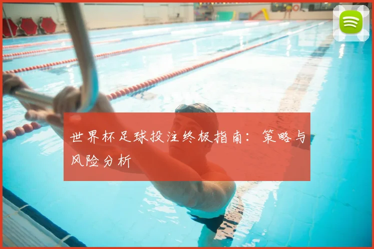 世界杯足球投注终极指南:策略与风险分析