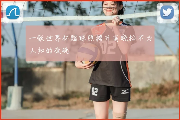 一张世界杯赌球照揭开高晓松不为人知的夜晚
