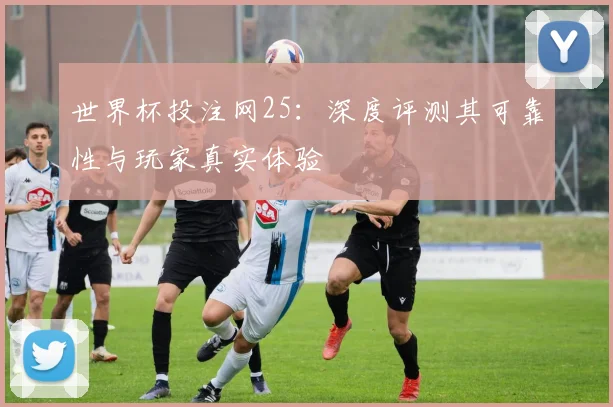 世界杯投注网25：深度评测其可靠性与玩家真实体验